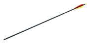 ARMEX 30inch CARBON ARROW