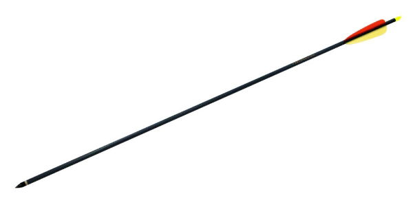 ARMEX 30inch CARBON ARROW