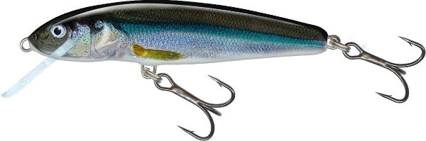 Salmo Minnow Crank Bait Sinking