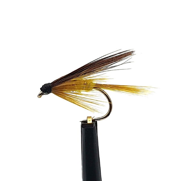 FWT26