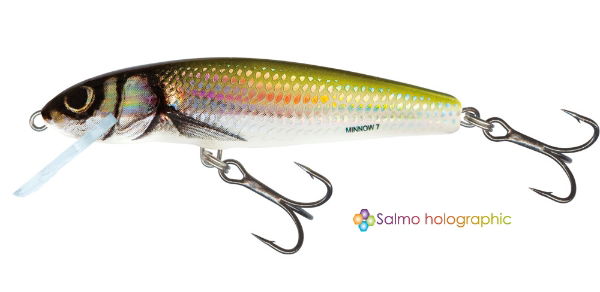 RV-M5F-HBL Minnow