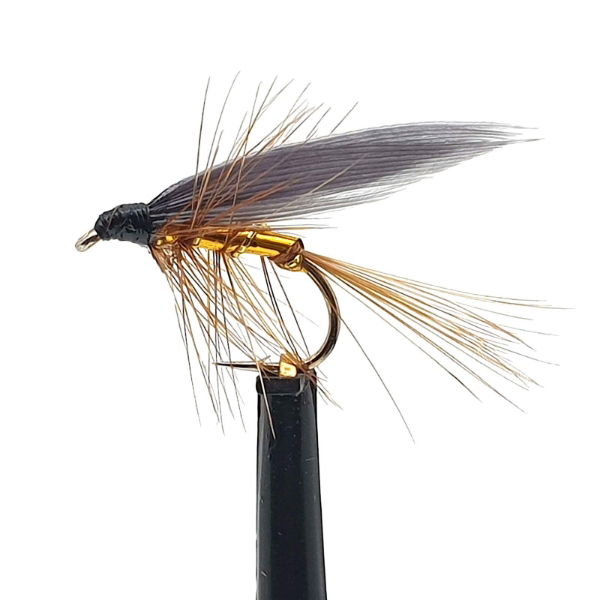 FWT54