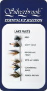 FLS-01 LAKE WETS