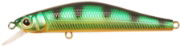 RPIN-A45T