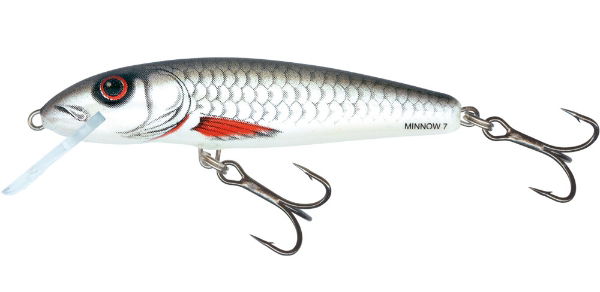 RV-M5F-DAC Minnow