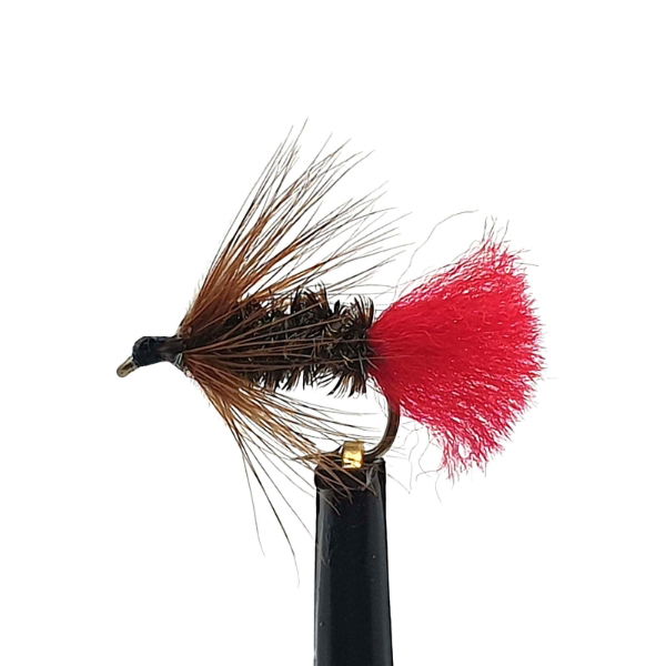 FWT48