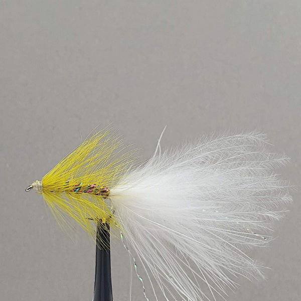 FLR30 (2)
