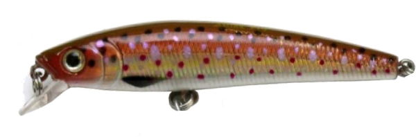 RPDS-C308F Brown Trout