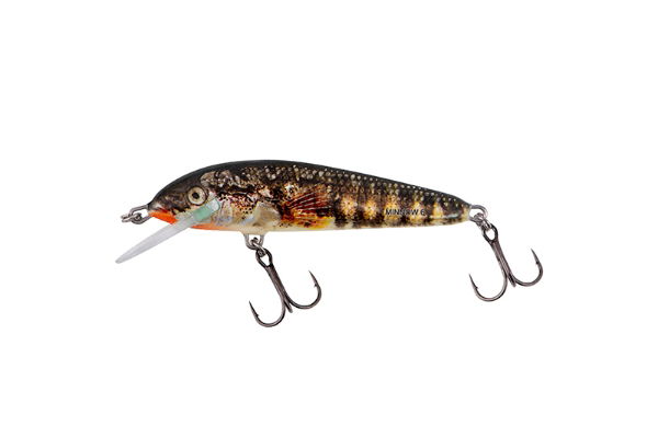 Salmo Minnow Crank Bait Floating