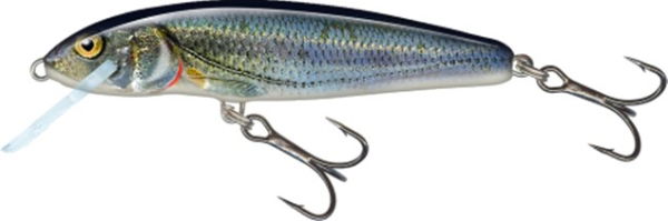 Salmo Minnow Crank Bait Floating