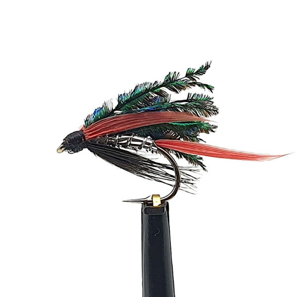 Alexandra Wet Trout Fly