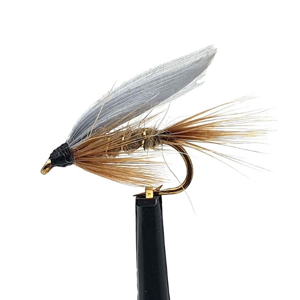 FWT27