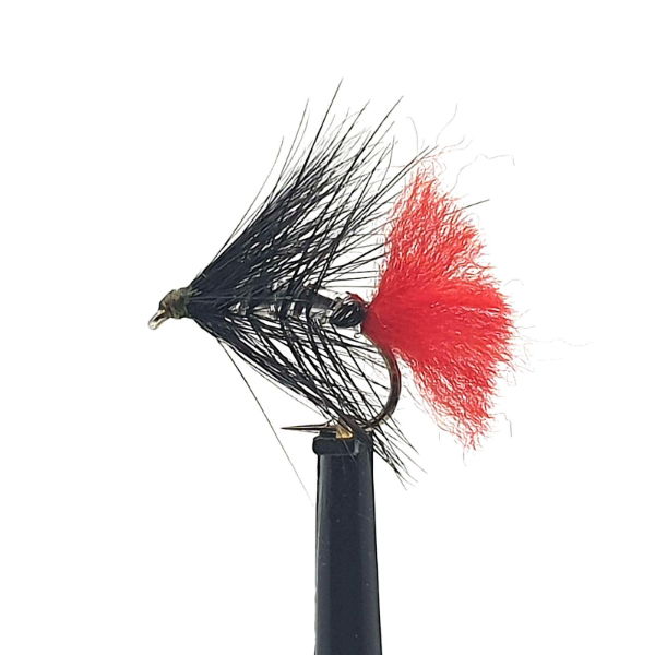 FWT65