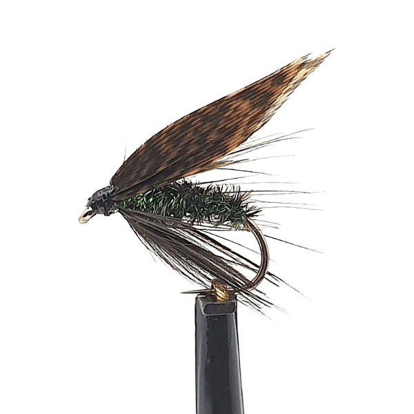 Alder Wet Trout Fly