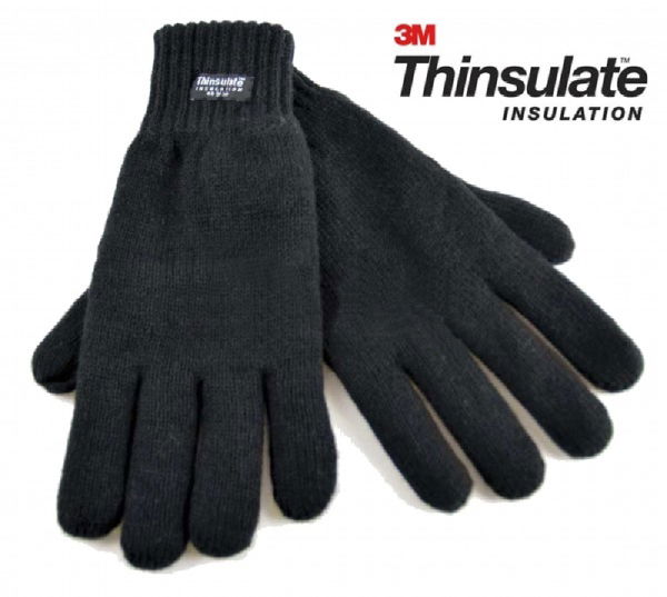 NT-20010 Thinsulate Glove