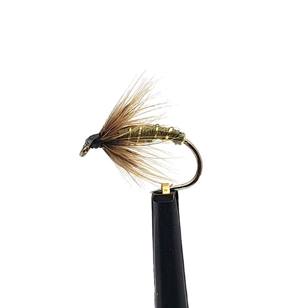 FWT30