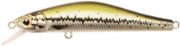 RPIN-076