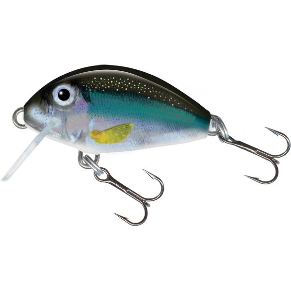 Salmo Tiny Crank Bait